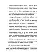 Konspekts 'Rietumu liberālā demokrātija: teorija un prakse', 4.