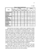 Referāts 'Tirgus izpēte SIA "Saldus Zeme II"', 18.