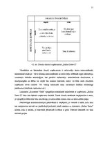 Referāts 'Tirgus izpēte SIA "Saldus Zeme II"', 21.