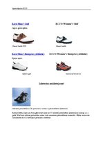 Referāts 'Apavu rūpnīca "Ecco" Portugālē', 9.