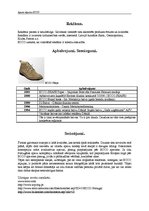 Referāts 'Apavu rūpnīca "Ecco" Portugālē', 10.