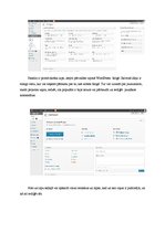 Paraugs 'WordPress analīze', 5.