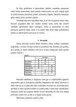 Biznesa plāns 'Biznesa plāns', 5.
