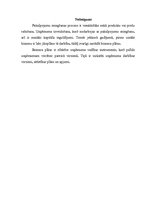 Biznesa plāns 'Biznesa plāns', 11.