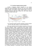 Referāts 'Uzņēmuma "Very Berry" konkurētspējas paaugstināšanas projekts', 12.