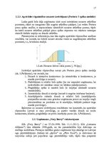 Referāts 'Uzņēmuma "Very Berry" konkurētspējas paaugstināšanas projekts', 17.