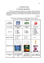 Referāts 'Uzņēmuma "Very Berry" konkurētspējas paaugstināšanas projekts', 25.