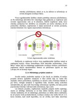 Referāts 'Uzņēmuma "Very Berry" konkurētspējas paaugstināšanas projekts', 35.