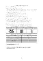 Biznesa plāns 'Biznesa plāns SIA "Pipariņi"', 4.