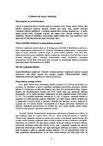 Biznesa plāns 'Biznesa plāns SIA "Pipariņi"', 8.