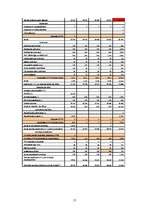 Biznesa plāns 'Biznesa plāns SIA "Pipariņi"', 17.