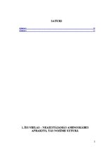 Paraugs 'Viela – neaizstājamās aminoskābes', 2.