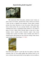 Eseja 'Impresionistu gleznās raugoties', 1.