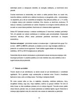 Referāts 'Ķīmisko vielu un ķīmisko produktu izmantošana', 33.