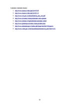 Referāts 'Ķīmisko vielu un ķīmisko produktu izmantošana', 38.