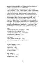 Referāts 'Ilonas Leimanes romāns "Vilkaču mantiniece"', 8.