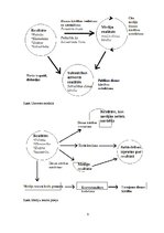 Diplomdarbs 'Raidījumu "Panorāma" un "Ziņas" dienaskārtības analīze: 2012.gada aprīlis', 9.