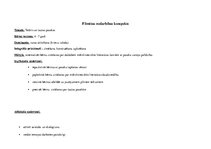 Prakses atskaite 'Kvalifikācijas prakse pirmsskolas izglītības iestādē', 16.