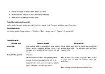 Prakses atskaite 'Kvalifikācijas prakse pirmsskolas izglītības iestādē', 17.