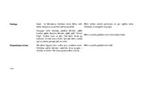 Prakses atskaite 'Kvalifikācijas prakse pirmsskolas izglītības iestādē', 23.