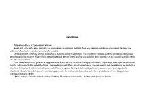 Prakses atskaite 'Kvalifikācijas prakse pirmsskolas izglītības iestādē', 29.