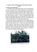 Referāts 'Dārzkopība', 5.