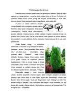 Referāts 'Dārzkopība', 18.