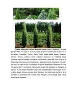 Referāts 'Dārzkopība', 19.