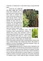 Referāts 'Dārzkopība', 21.