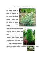 Referāts 'Dārzkopība', 25.