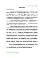 Referāts 'Semiotika', 1.