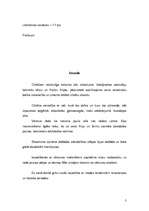 Referāts 'Renesanses modes tendences', 3.