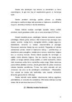 Referāts 'Renesanses modes tendences', 11.