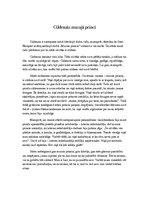 Eseja 'Cildenais mazajā princī', 1.