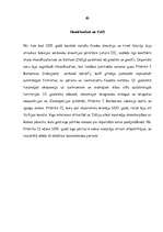 Referāts 'Vācija', 9.