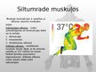Prezentācija 'Muskuļu fizioloģija', 39.
