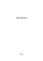 Referāts 'Antīkā filosofija', 1.