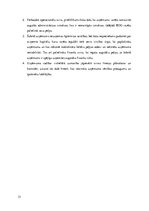 Prakses atskaite 'Prakses pārskats un finanšu analīze par auditorkompāniju', 31.