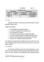 Referāts 'Viesnīcu telpās izmantojamo tekstilizstrādājumu kopšana', 5.