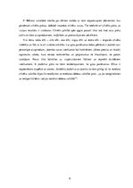 Referāts 'F.Bēkona mācība par elkiem', 8.