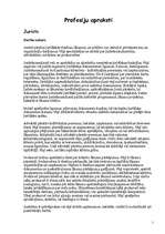 Referāts 'Profesiju apraksti', 1.