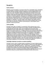 Referāts 'Profesiju apraksti', 5.