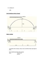 Referāts 'Rāmju un loka piepūļu noteikšana', 17.