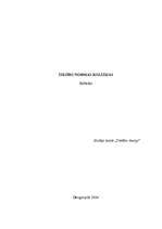 Referāts 'Tiesību normas kolīzijas', 1.