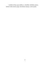 Referāts 'Tiesību normas kolīzijas', 13.