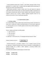 Prakses atskaite 'SIA "Gold"', 3.