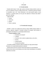 Prakses atskaite 'SIA "Gold"', 9.