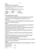 Prakses atskaite 'SIA "Gold"', 12.