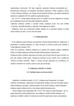 Prakses atskaite 'SIA "Gold"', 19.