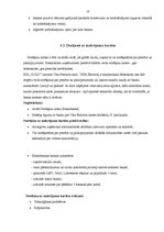 Prakses atskaite 'SIA "Gold"', 22.